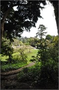 04162011_San Francisco_43